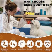 4pcs/1Set Random Style Puppy Teething Toy Set For Small Dog- Durable TPR & Plush Squeaky Chew Toys, Interactive Dog Dental Health Training Toy Kit - Multicolor - View 3