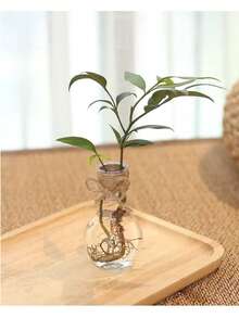 Retro Plastic Vase, Mini Round Bulb Plant Container, Suitable For Wedding Table Decor, Planting Lilies And Avocado, Applicable For Receptions, Home Decor And Holiday Parties, Durable And Easy To Clean, Great For Home, Events, Office Decor, Housewarming Gifts, Room Decor, Glass Vase - A - View 9