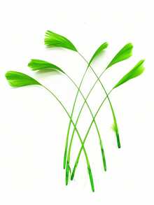 20pcs/Pack 5.2-7.2 Inch Goose Feathers For DIY Dream Catcher, Decoration, Wedding Dress, Hat, Craft Sewing Accessories - A - View 11