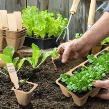 50pcs Seed Starter Trays, Peat Moss Seedling Pots, Seed Germination Kit, Plant Propagation Tray - 50 Cells - View 2