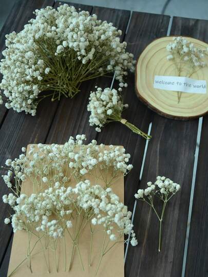 25/50/100/300pcs Mini Baby's Breath Flowers & Other Dried Flowers - Suitable For Resin Mold Arts & Crafts, Ivory White Bouquet For Hair Accessories, Wedding Wreaths, Vases, Home Decor