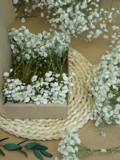 50/260支/盒迷你满天星及其他干花 - 适用于树脂模具工艺品，象牙白花束，可用于发饰、婚礼花环、桌面花瓶、家居装饰