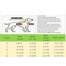 Ropa nueva de primavera/verano para mascotas, vestido de tutú esponjoso, atuendo para ceremonia de boda, falda de tul de ballet para perros y gatos - Rosa - Ver 11