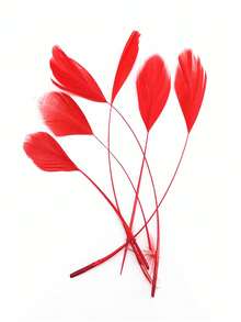 20pcs/Pack 5.2-7.2 Inch Goose Feathers For DIY Dream Catcher, Decoration, Wedding Dress, Hat, Craft Sewing Accessories - A - View 13