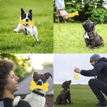 4pcs/1Set Random Style Puppy Teething Toy Set For Small Dog- Durable TPR & Plush Squeaky Chew Toys, Interactive Dog Dental Health Training Toy Kit - Multicolor - View 9