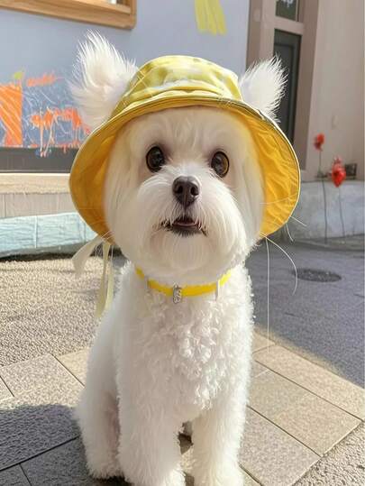1pc Cat/Dog Hat, Cat Bucket Hat, Sun Hat, Summer Ear-Exposed Hat, Dog Cowboy Hat, Pet Cowboy Hat, Summer Dopamine Hat, Sun Hat, Hairless Cat Hat, Bucket Hat, Special Dog Hat, Special Ear-Exposed Hat, Accessories, Dog/Cat Accessories, Cute Keji Hat, Windproof Hat, Outdoor Hat, Brimmed Hat, Small Animal Specific