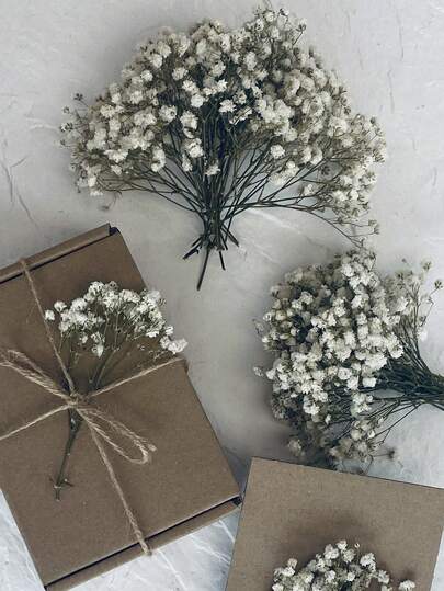 25/50/100/300支迷你满天星及其他干花 - 适用于树脂模具工艺品制作，象牙白花束，可用于发饰、婚礼花环、餐桌装饰、家居装饰