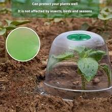 10件装蔬菜、幼苗和嫩芽保湿保护罩，包括5个保温罩和5个地钉。加厚圆形透明植物罩可用作害虫屏障，可重复使用。 - 10件套裝 - 5個絕緣帽 + 5個地釘 - 查看 2