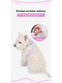 反光舒适背心式狗狗胸背带，前后各有两个牵引绳连接点，可调节加厚宠物背心，适合小型至大型犬。 - 彩色 - 查看 7