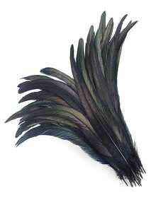 20pcs 23.30cm-9.2-12nch Rooster Pheasant Tail Feathers Plumes DIY Headdress Halloween Decoration Wedding Christmas Craft Supplies Accessories - A - View 15