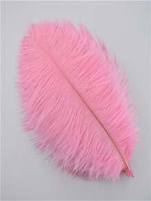 1包10根，20.25厘米（8-10英寸）彩色人造鸵鸟毛，适用于工艺品、婚礼装饰、手工配件、餐桌摆件、嘉年华羽毛装饰 - A - 查看 14