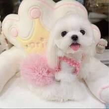 Ropa nueva de primavera/verano para mascotas, vestido de tutú esponjoso, atuendo para ceremonia de boda, falda de tul de ballet para perros y gatos - Rosa - Ver 1