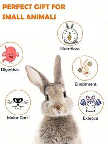 Pet Chew Toy Set, Rabbit Hamster Bite Toys Combo, Small Animal Playtime Toys, Rabbit Chew Toys, Hamster Teeth Cleaning Toys, Wooden Chew Toy Set, Unicycle Dumbbell, Carrot, Apple Wood - View 4