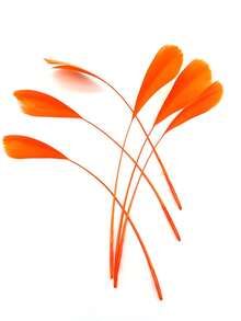 20pcs/Pack 5.2-7.2 Inch Goose Feathers For DIY Dream Catcher, Decoration, Wedding Dress, Hat, Craft Sewing Accessories - A - View 24