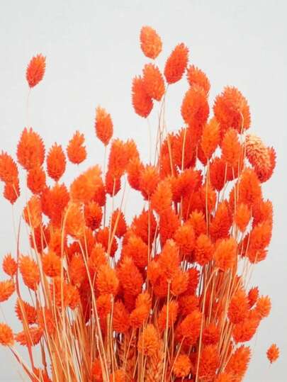 25/50/100pcs Gem Grass Dried Flowers/Preserved Flowers, Multi-Color Options, For Home Decor, Vase Decoration, DIY Bouquets, Cake Decoration