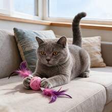 1个可爱可独处互动猫玩具，带铃铛，逼真羽毛滚轮，聚酯纤维材质，适合所有年龄段的猫咪 - 彩色 - 查看 9