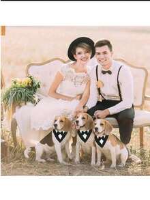 Bộ vest cho chó, khăn trùm đầu và khăn quàng cổ cưới cho chó, nơ cổ cho thú cưng, trang phục trang trọng có thể điều chỉnh cho chó, phù hợp cho tiệc sinh nhật, vừa với chó và mèo nhỏ, vừa và lớn, trang phục ngày Valentine cho thú cưng. - màu đen - Xem 3