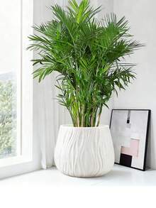 带排水孔和托盘的豪华树脂花盆，适用于室内植物，装饰性塑料花盆，可种植虎尾兰、发财树、天堂鸟、蓝莓等植物，家居园艺装饰 - 水紋 - 查看 3