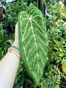 Plant Leaf Cleaning, Dusting, Cleaning Tool, Decontamination, Dusting, Gardening, Hand Towel Cleaning, Kitchen Wiping, Bathroom Handwashing Dedicated - Multicolor - View 2