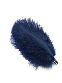 10pcs/Pack 15-20cm/6-8in Artificial Ostrich Feathers, Suitable For Crafts, Wedding Party Decor, Handmade, Desktop Decoration, Large DIY Feathers - A - View 23