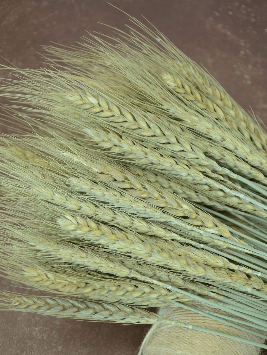 20-200Pcs,17.3Inch Green Wheat, Dried Flowers, Dried Plants, Used For Flower Arrangements In Table Vases, Wedding Flowers, Bridal Bouquets, Home And Office Flowers, And Party Flowers - Green - View 1
