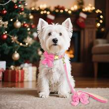 1pc Nylon Adjustable Pet Dog/Cat Collar & Leash Set With Bow Tie, Cute For Chihuahua, Poodle And Other Small/Medium Breeds - Hot Pink - View 8