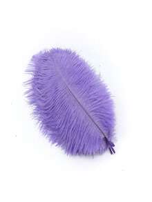 10pcs/Pack 15-20cm/6-8in Artificial Ostrich Feathers, Suitable For Crafts, Wedding Party Decor, Handmade, Desktop Decoration, Large DIY Feathers - A - View 13