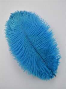 1 Pack 10pcs 20-25cm/8-10in Colorful Artificial Ostrich Feathers, Suitable For Handicrafts, Carnival Decoration, Tabletop Decor, Vase Decoration, Handmade Accessories - A - View 16