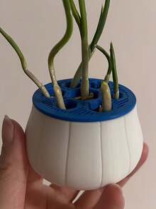 1pc Garlic, Green Onion, Home Gardening, Hydroponics, Chives Garlic Green Onion Regenerative Farm, Gardening Plastic Pots, Vases, Seedling Trays, Hydroponics Planter, Abundant Planting, Regenerative Planter, Simple Home Use Cyclic Harvesting, Soil-Free Hydroponics Box, Grow Plants Unaffected By Seasons - Reusable - 7-hole Hydroponic Regeneration Pot - View 7