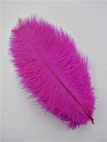 1 Pack 10pcs 20-25cm/8-10in Colorful Artificial Ostrich Feathers, Suitable For Handicrafts, Carnival Decoration, Tabletop Decor, Vase Decoration, Handmade Accessories - A - View 21
