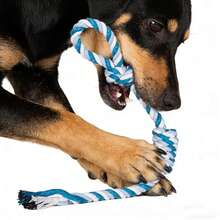 1pc Set Light Blue Refreshing Series Rope Chew Toys For Dogs - Light Blue - View 1