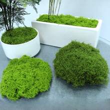 120g/50g/30g/10g Artificial Green Moss, Suitable For Indoor Potted Plants, Can Be Hung In Indoor/Outdoor Gardens, Porches, Windowsills, Flower Boxes, Home Weddings, Farmhouses, Porches, Patios, Windows, Etc. - Multicolor - View 4