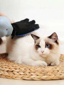 1 双宠物美容手套 - 温和去毛刷，适用于犬猫 - 按摩促进血液循环 - 易于使用和清洁 - 彩色 - 查看 7