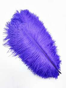 1 Pack 10pcs 20-25cm/8-10in Colorful Artificial Ostrich Feathers, Suitable For Handicrafts, Carnival Decoration, Tabletop Decor, Vase Decoration, Handmade Accessories - A - View 11