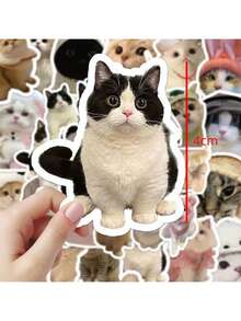 60pcs Cute Cat Stickers, DIY Cat Sticker Packs, Scrapbooking Stickers, Waterproof Small Stickers - Multicolor - View 3