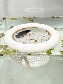 1pc Aquarium Floating Fish Rest Room, Cave And Hammock, Fry, Betta Or Shrimp Feeding Ring, Aquarium Hiding Feeding Decor Accessory - Multicolor - View 5