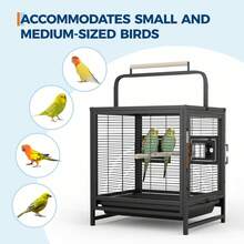 Bird Cages - Black - View 4