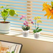 5 chậu trồng lan trong suốt, được thiết kế để quản lý rễ hiệu quả với lỗ thoát nước và nắp lưới, lý tưởng cho việc thay chậu và trồng hoa. - Rỗng - Xem 8