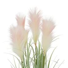 YUNRUX Artificial Plants, Decorative Grass In A Pot, Artificial Tall Grass Plant With Reed Flowers - 淺粉色 - 查看 3