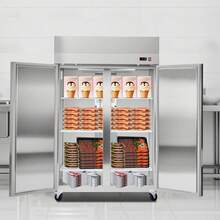 Double-door Freezer