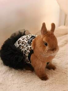 性感豹纹宠物连衣裙 - 针织网纱芭蕾舞裙，适合猫咪和小型犬，公主风小狗猫咪服装 - 黑色 - 查看 11