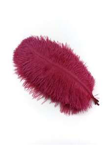 10pcs/Pack 15-20cm/6-8in Artificial Ostrich Feathers, Suitable For Crafts, Wedding Party Decor, Handmade, Desktop Decoration, Large DIY Feathers - A - View 24