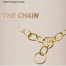 Solid Copper Dog Training Collar, Durable P-Chain, Anti-Chew, Non-Fading - Gold - View 4