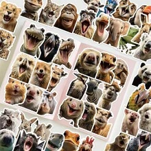 50 miếng/gói, Hình dán trang trí mặt động vật ngộ nghĩnh, Hình dán biểu cảm động vật dễ thương, Thích hợp cho ván trượt, ốp điện thoại, laptop, tủ lạnh, hành lý, cửa phòng ngủ, máy tính bảng, sổ tay, quà tặng khen thưởng học tập. - Nhiều màu - Xem 3