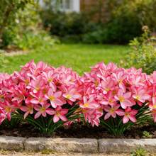 4 Bunches Artificial Plastic Fabric Lily Flowers, Suitable For Indoor And Outdoor Spring/Summer Decor, Applicable For Garden, Porch, Window Sill, Vase, And Wedding Decoration - Pink - View 6