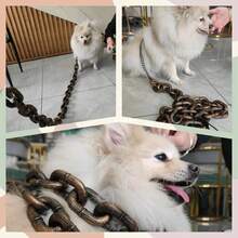 1.5m Funny Dog Leash - Giant Plastic Chain Dog Leash With Puppy Collar, Suitable For Small Dogs, Cats And Puppies - Black Funny Chain Dog Leash - Silver - View 6