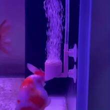 Ultra-High Density Nano Bubble Air Pump Accessories For Aquarium - Enhances Fish Health And Aesthetics, Suitable For Small To Medium Aquariums - Style A - View 11