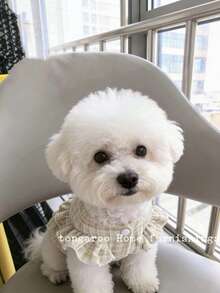 Autumn/Winter New Pet Cat Dog Teddy Maltese Poodle Chic Warm Dress - Champagne - View 3