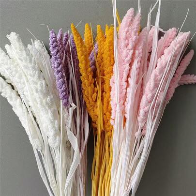 1束保鲜小米穗干花，天然花材，北欧风格家居装饰，情人节、母亲节、父亲节礼物，多巴胺色彩花艺DIY，婚礼派对装饰，桌面摆件