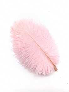 10pcs/Pack 15-20cm/6-8in Artificial Ostrich Feathers, Suitable For Crafts, Wedding Party Decor, Handmade, Desktop Decoration, Large DIY Feathers - A - View 31